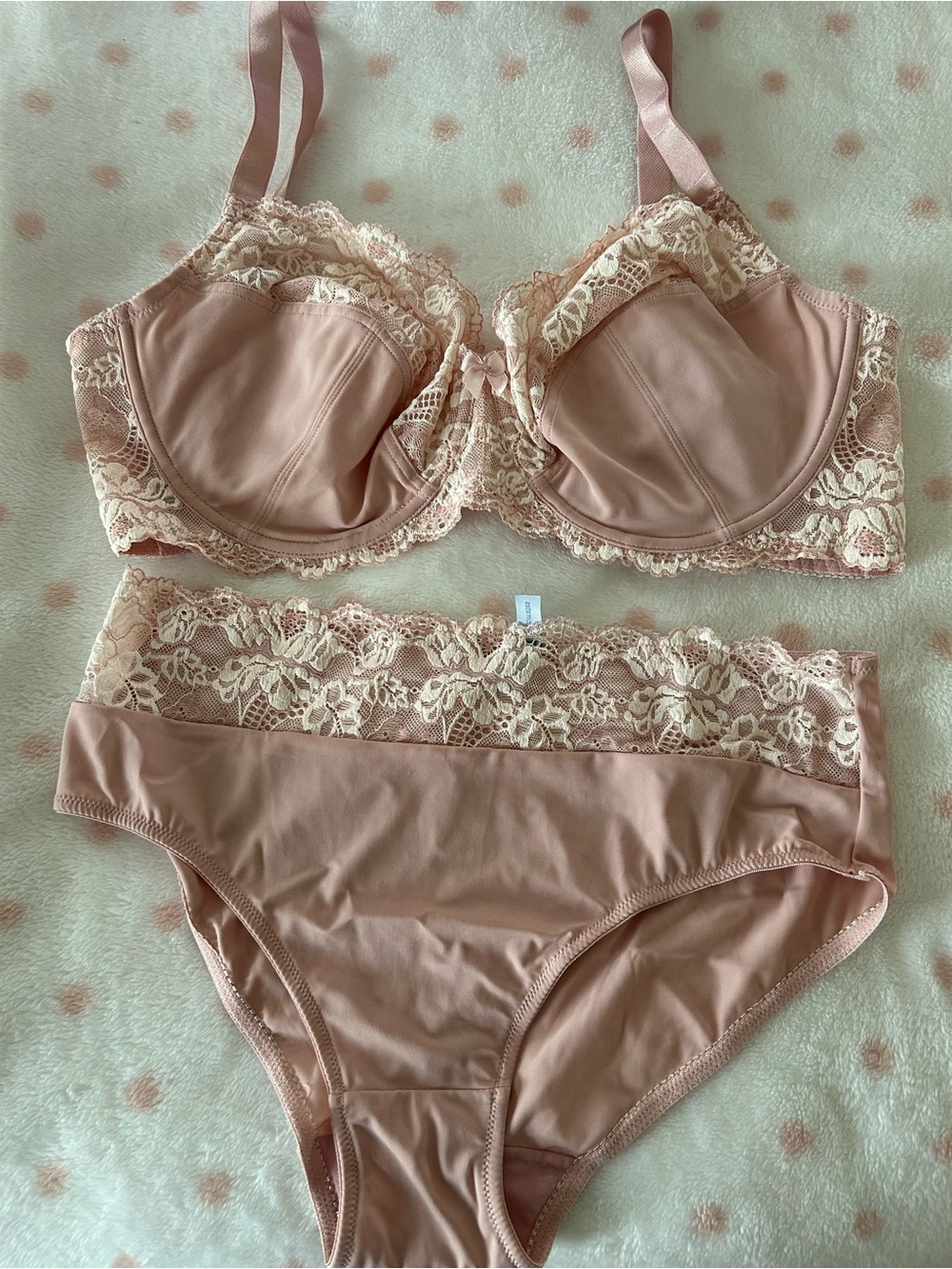 Penningtons Blush Pink Lace Underwire Bra & Lace Waist Hi-Cut Briefs